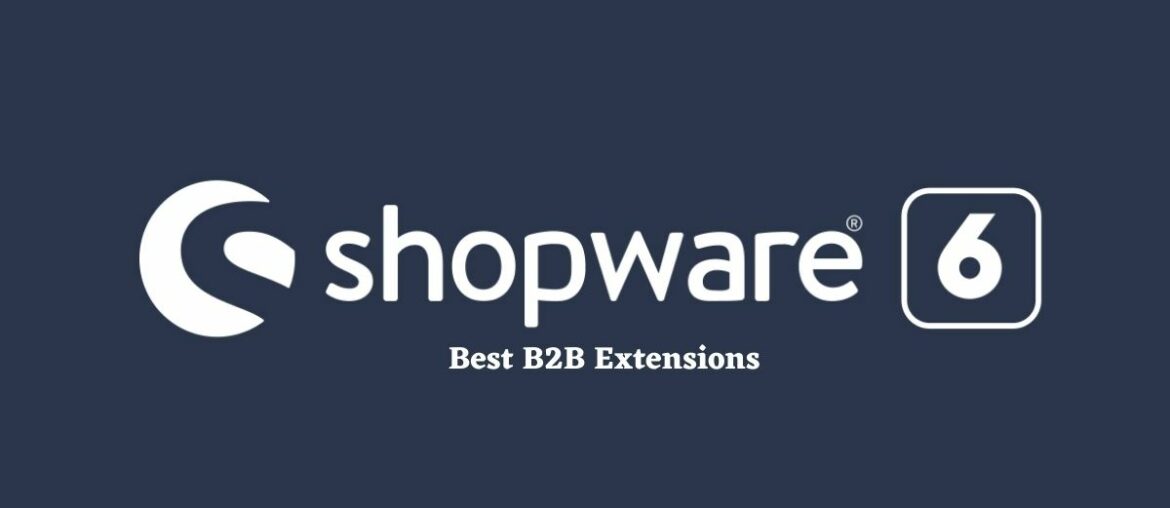B2B Extensions for Your Shopware Store