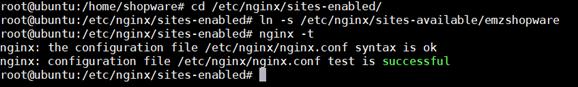 verify the Nginx for any syntax error